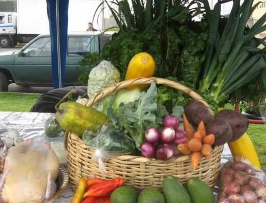 Donde comprar orgánico Donde comprar sano Busco agroecológico Busco orgánico.com