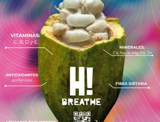 Donde comprar orgánico Donde comprar sano Busco agroecológico Busco orgánico.com