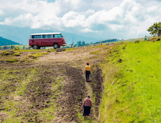 Donde comprar orgánico Donde comprar sano Busco agroecológico Busco orgánico.com