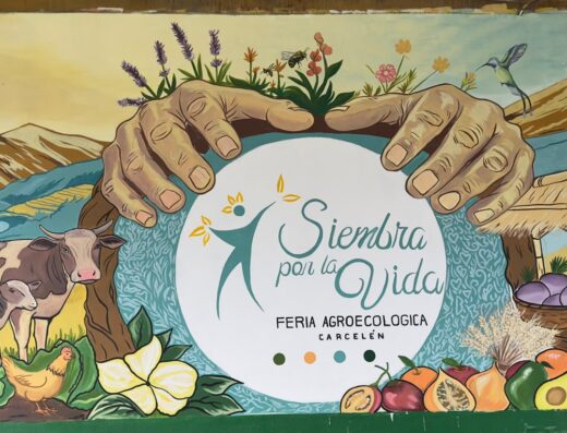Donde comprar orgánico Donde comprar sano Busco agroecológico Busco orgánico.com